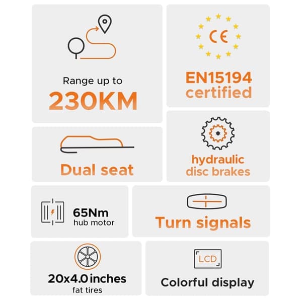ENGWE M1 Aikuisten Sähköpyörä 250W Sähköpyörä 48V15.6AH Akku Miesten Sähkömaastopyörä 20 Tuuman Paksurenkainen Miesten Sähköpyörä