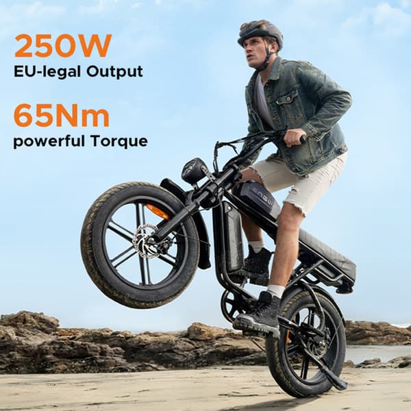 ENGWE M1 Elcykel för vuxna 250W motor Elcykel 48V 15.6+13AH batteri Herr El-Mountainbike 20 tum Feta däck Herr Elcykel