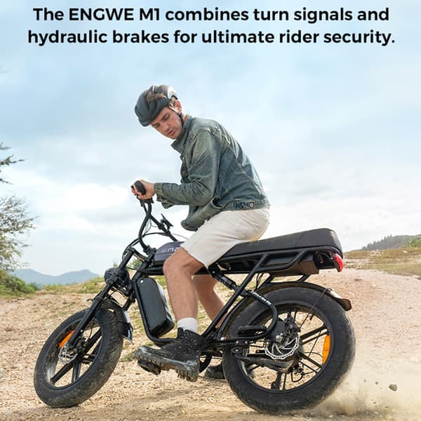 ENGWE M1 Elcykel för vuxna 250W motor Elcykel 48V 15.6+13AH batteri Herr El-Mountainbike 20 tum Feta däck Herr Elcykel