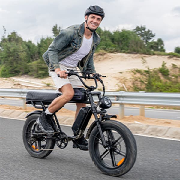 ENGWE M1 Elcykel för vuxna 250W motor Elcykel 48V 15.6+13AH batteri Herr El-Mountainbike 20 tum Feta däck Herr Elcykel