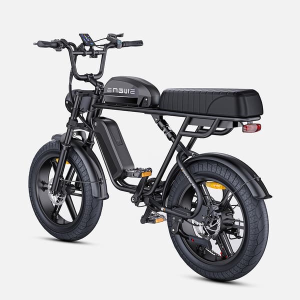 ENGWE M1 Elcykel för vuxna 250W motor Elcykel 48V 15.6+13AH batteri Herr El-Mountainbike 20 tum Feta däck Herr Elcykel