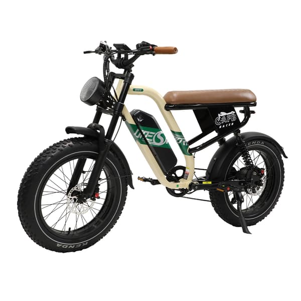ONESPORT W66 Elcykel För Vuxna 500W Motor Elcykel 48V 13.5Ah Batteri herr Elcykel 20 Tum Feta Däck Herr El-mountainbike