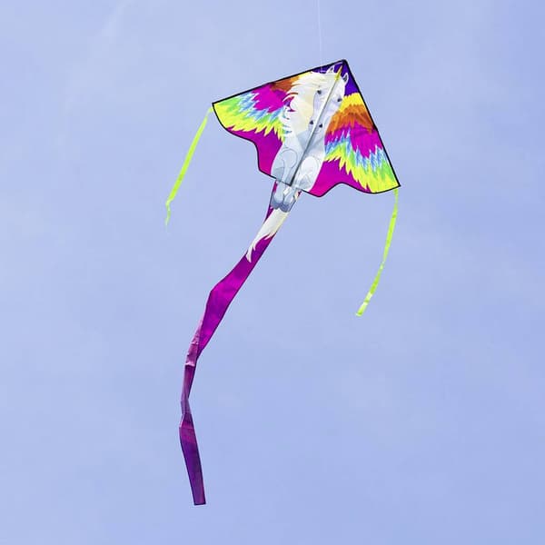 Ecoline en lina Drake Simple Flyer Pegasus Spännvidd 1200 mm Vindstyrka 2 - 5 bft