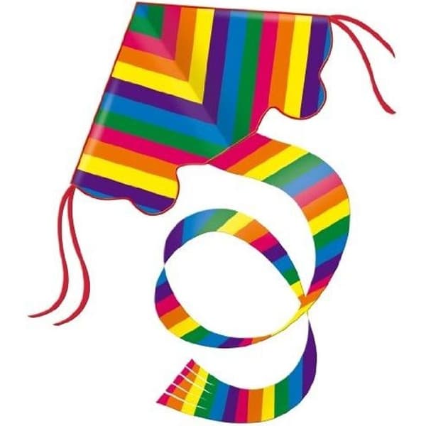 Rainbow monofilament drake - GUNTHER - För barn från 6 år och uppåt - Stabiliserande svans ingår