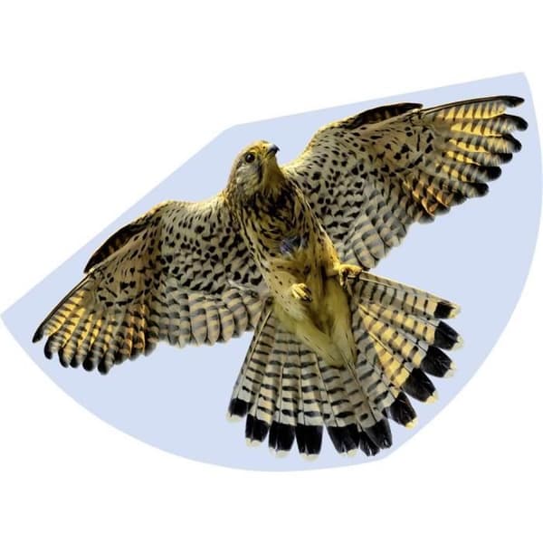 FALCON Günther Flugpiele drake - Vingspann 920 mm - Stöder 3-6 bft