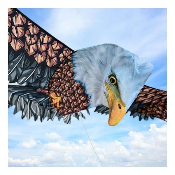 Örn drake 3D - Spelset - Ny - Blandat