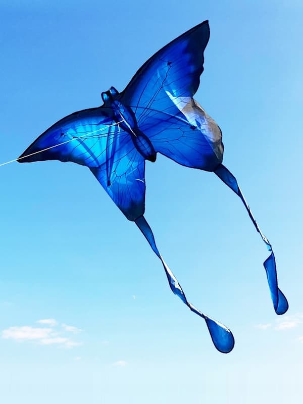 KITE XXL Butterfly SININEN Hehkuva LED 150cm