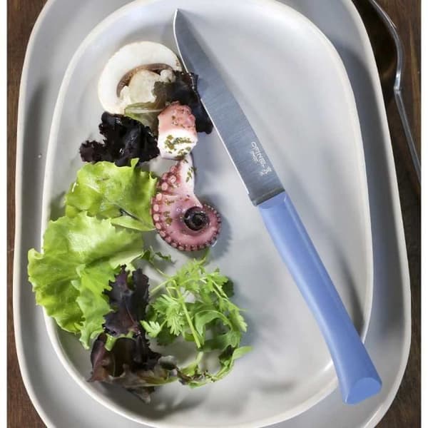 Bon Appetit + Blå Opinel bordskniv