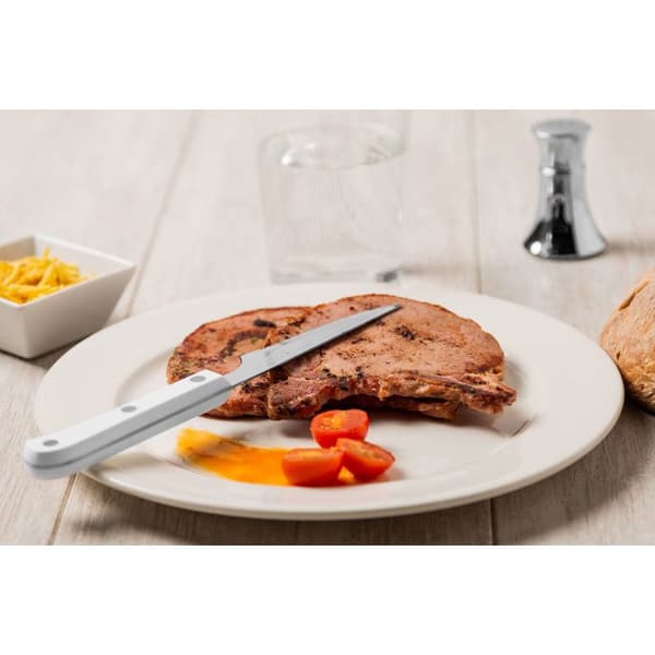 Steakknivar - ARCOS - Steak Basic - Rostfritt stål - Vit polyoximetylen - 115/225 mm