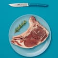 Miniatyrbild 2 av 4: BERKEL Set med 4 Steak Knives Petrol Blue