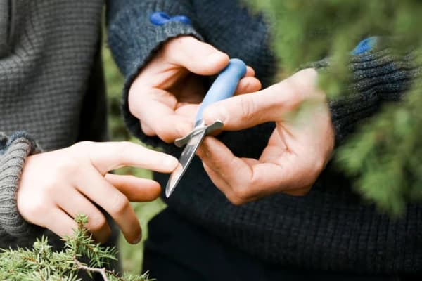 MORAKNIV SCOUT 39 CLASSIC, scoutkniv