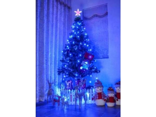 Synergy 21 LED XMAS Fairy lights
