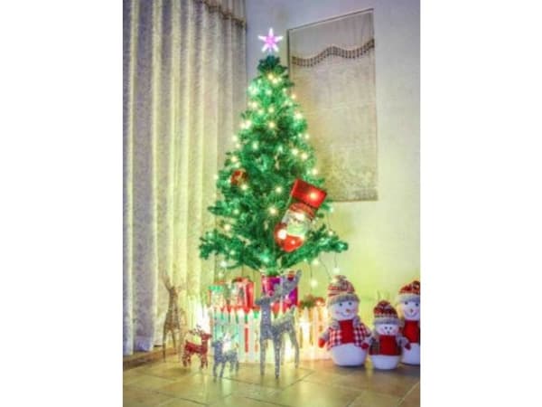 Synergy 21 LED XMAS Fairy lights
