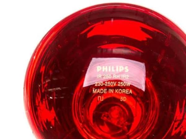 Philips 923212043801 infrapunalamppu 250 W Polttimo