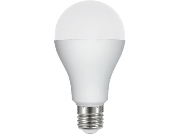 Spectrum LED GLS E-27, 230V, 7W, WW (WOJ13900)