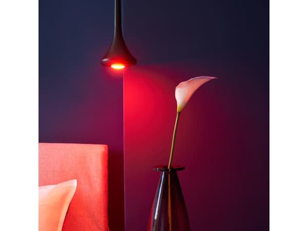 Shelly Duo - LED-glödlampa med filament - glaserad finish - GU10 - 5 W - klass G - RGBW/naturligt vitt ljus - 4000 K