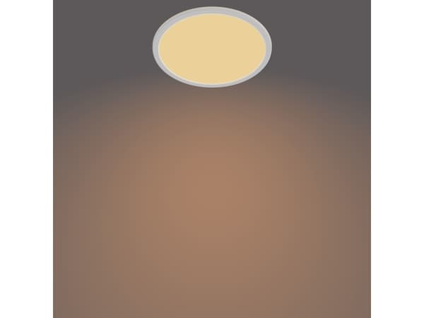 Philips Funksjonell Taklampe