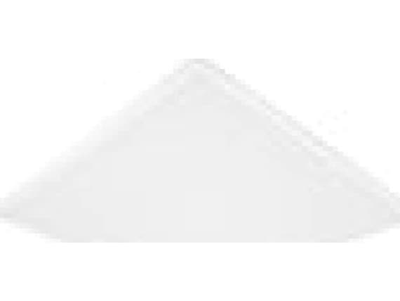 Ledvance Ceiling light LED PANEL ECO 600 36W 865 4058075386662