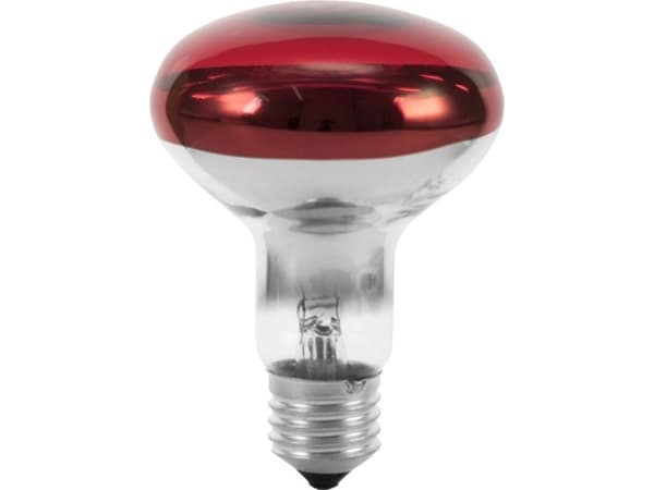 Eurolite 9210360U Halogeenilamppu E27 Heijastin 60 W Punainen 1 kpl
