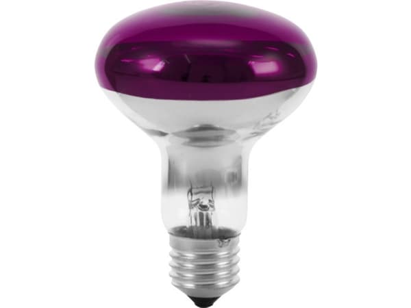 Eurolite 9210440U Halogeeni E27 valonheitin 60 W Violetti 1 kpl