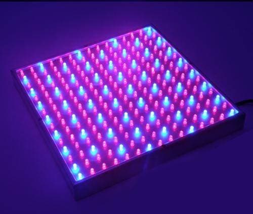 LED växtlampa med upphängning, odlingslampa