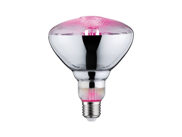 Paulmann LED lyskilde fil Plant PAR38 E27 6,5W 230V