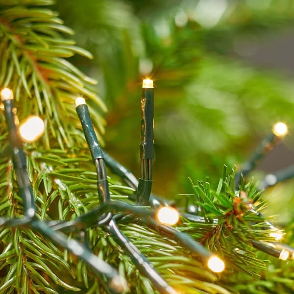 Nedis Julebelysning | Klynge | 1512 LED's | Varm Hvit | 11.00 m | Lyseffekter: 7 | Innendørs eller utendørs | Nettstrøm drevet