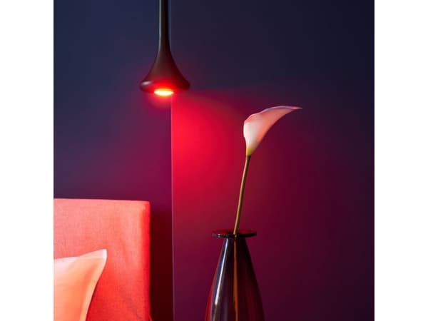 Shelly Duo - LED-spotlight - GU10 - 5 W - klass G - varmt till kallt vitt ljus - 2700-6500 K - matt