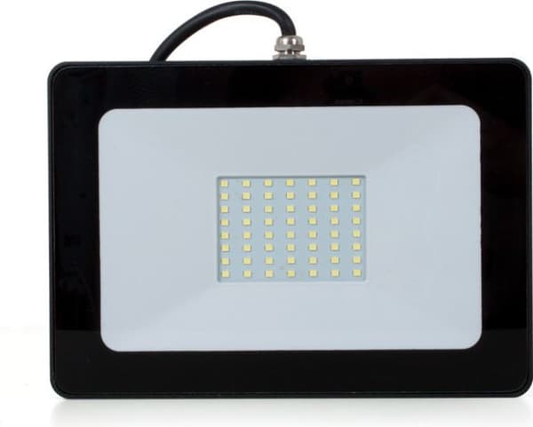 Abilite flomlys 50W/230V (5901583548109)