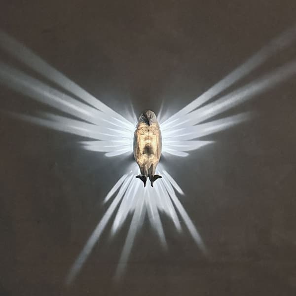 Eagle wings lampe veggfeste LED-lys med adapter