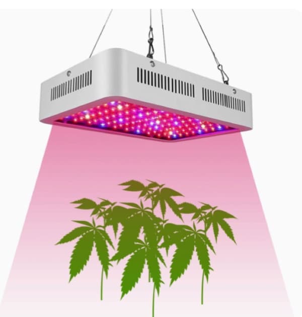 Full Spektrum växtlampa, 300W för växthus, odlingstält & hemmaodling - Grow Light Expert