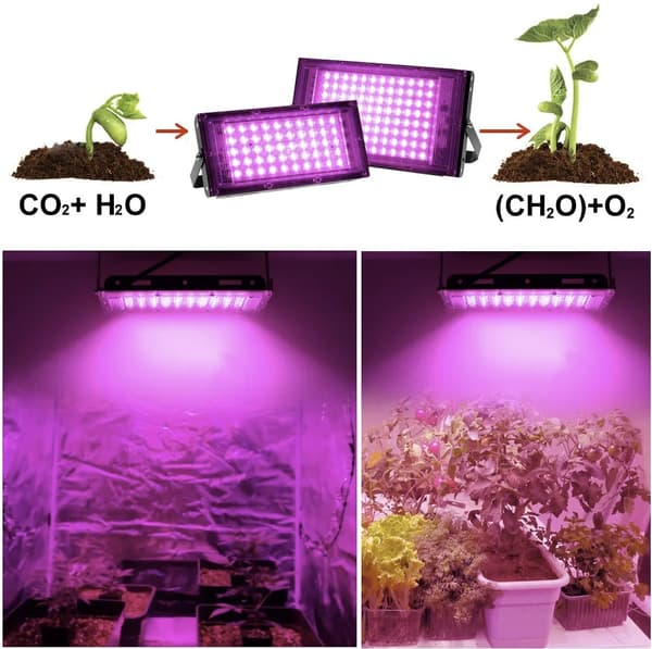 300W Växtlampa GrowPRO - Full Spektrum för optimal odling