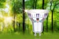 Miniatyrbilde 3 av 5: Paulmann 29194, 2,5 W, 50 W, GU10, 450 lm, 50000 timer, Ultrafiolett (UV)