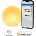 Miniatyrbild 8 av 8: EVE FLARE Intelligent Thread LED-lampa