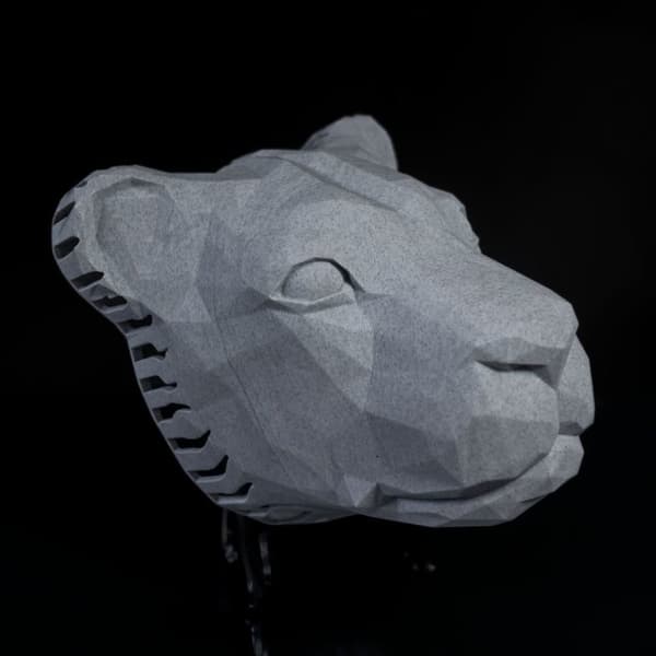 Flott Lion lampe veggfeste LED lys med adapter