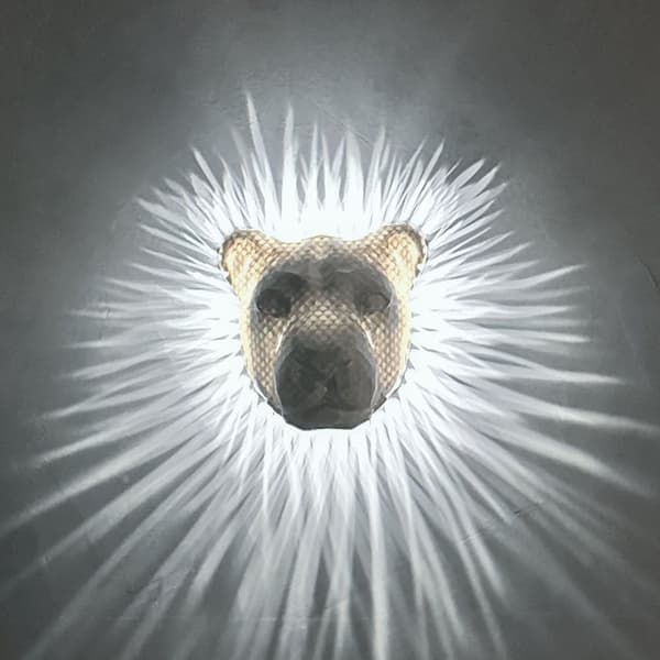 Flott Lion lampe veggfeste LED lys med adapter