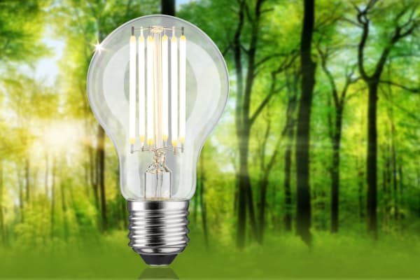 Paulmann 29219, 75 W, 75 W, E27, 1055 lm, 50000 timer, Varm hvit
