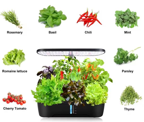 GrowHome PRO, Inomhusträdgård och odlingsset för örter med inbyggd LED växtbelysning & autovattningssystem, Ört Mini