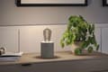 Miniatyrbild 3 av 5: Paulmann 29243