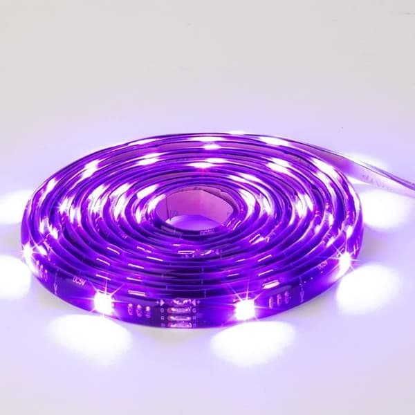 Drakkar Aurora LED Strip 5M
