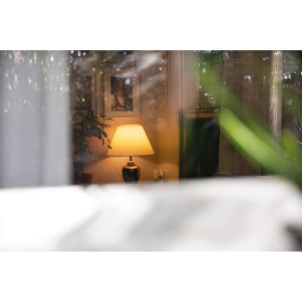 Paket med ansluten belysning - Otio - E27 - LED - Kompatibel med Alexa - Fjärrkontroll ingår