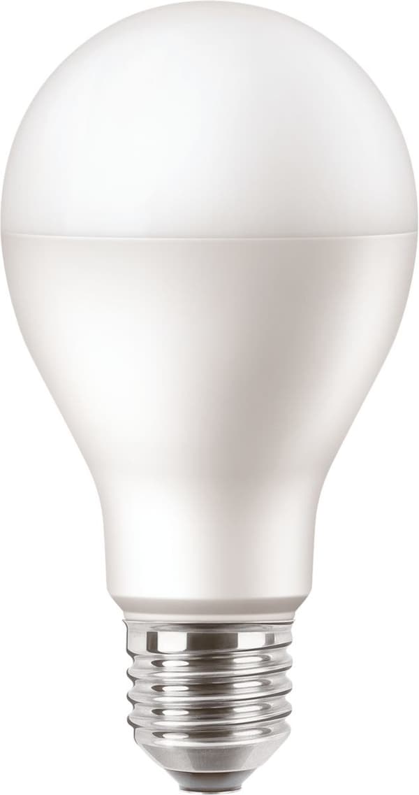 LED-lamppu PILA E27 15W=120W 2700K 1900lm A67 1CT/6 matta ei himmennettävä