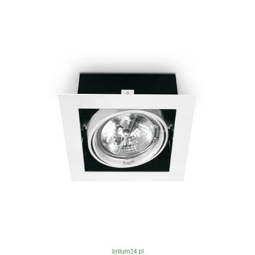 AR111 ES111 spotlight, LED loftspotlight, LED loftslampe, 1 flamme, PASEO