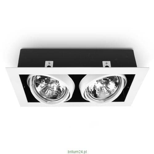 AR111 ES111 spotlight, LED loftspotlight, LED loftslampe, 2-flammet PASEO Hvid
