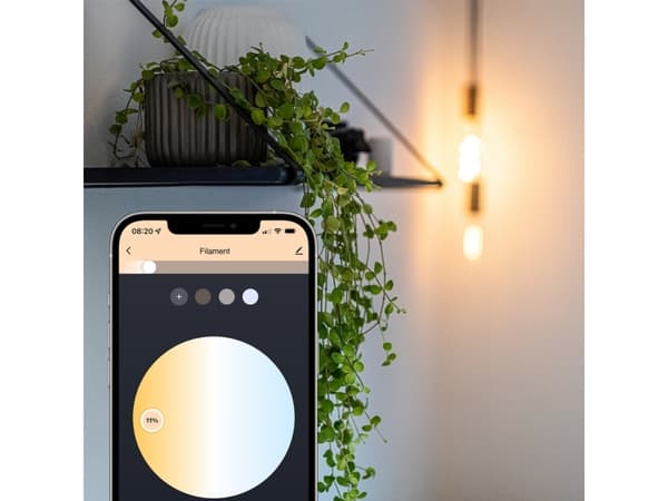 Lite Bulb Moments - Hehkulamppu