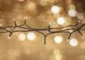 Miniatyrbild 1 av 5: WiFi light chain, 10m, 80 led, adapter, IP44