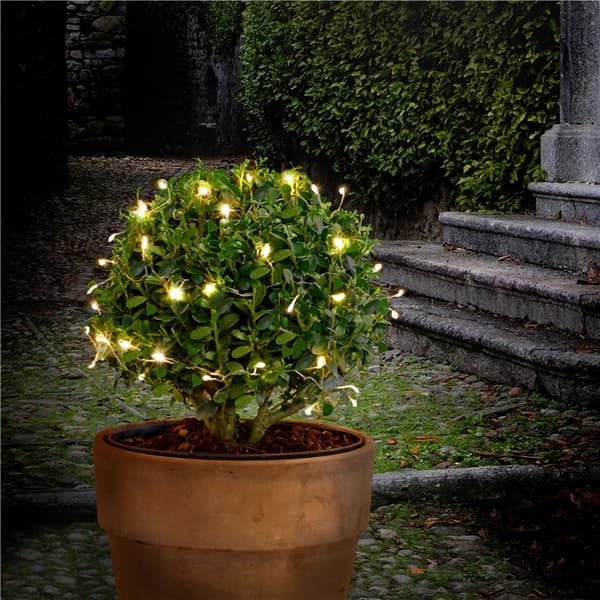 50er LED silver wire cluster ljuskedja