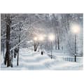 Miniatyrbild 2 av 2: LED canvas - LUMINEO - Snölandskap - Vitt och blått - 58x1,5x38cm