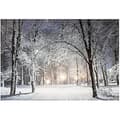 Miniatyrbild 1 av 2: LED canvas - LUMINEO - Snölandskap - Vitt och blått - 58x1,5x38cm