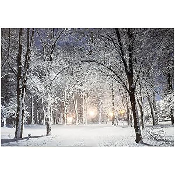 LED canvas - LUMINEO - Snölandskap - Vitt och blått - 58x1,5x38cm
